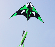 綠魅影運動風箏